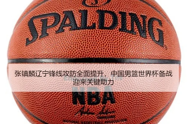 张镇麟辽宁锋线攻防全面提升，中国男篮世界杯备战迎来关键助力