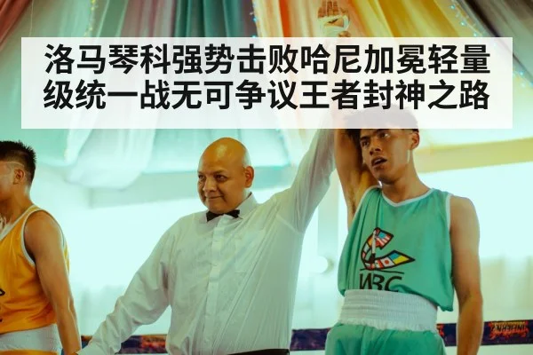 洛马琴科强势击败哈尼加冕轻量级统一战无可争议王者封神之路