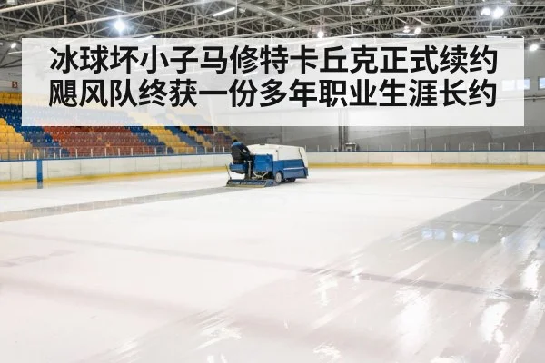 hockey rink arena